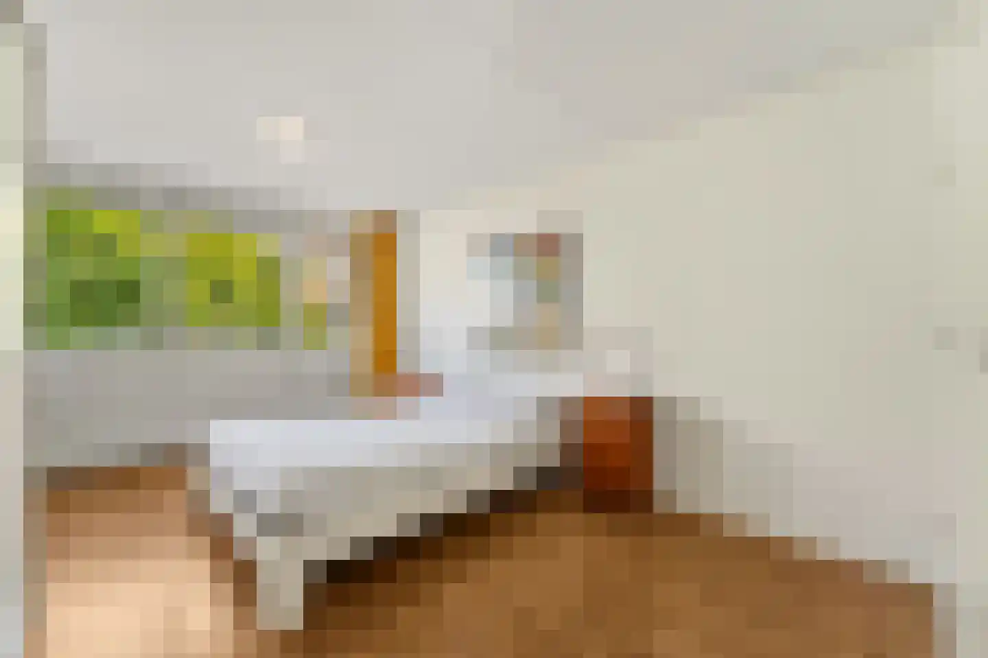 Hanedoesstraat 2 E Den Haag thumbnail 45