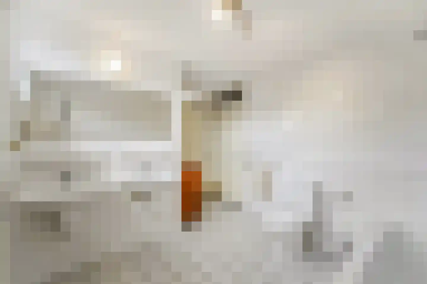 Hanedoesstraat 2 E Den Haag thumbnail 49