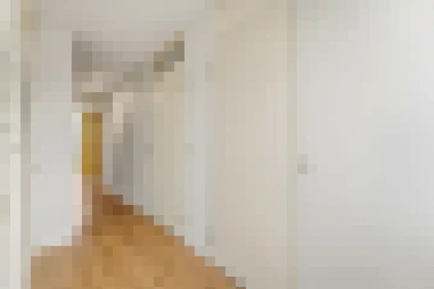 Hanedoesstraat 2 E Den Haag thumbnail 52