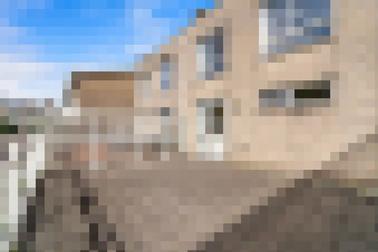 Hanedoesstraat 2 E Den Haag thumbnail 54