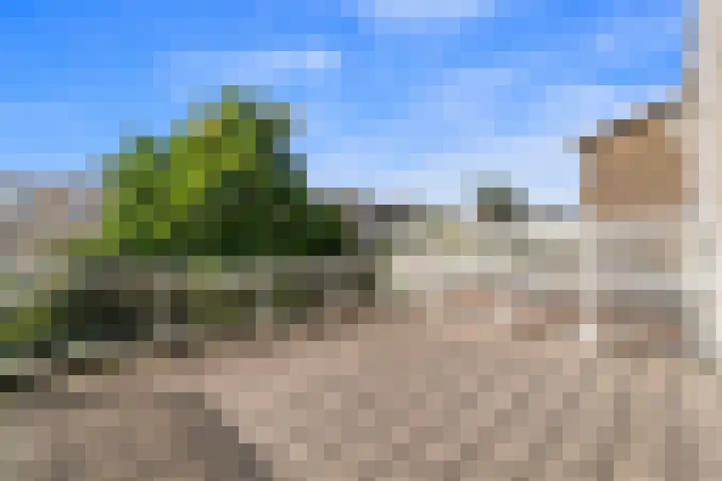 Hanedoesstraat 2 E Den Haag thumbnail 55