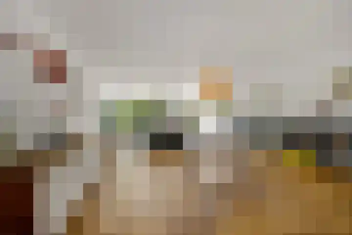 Hanedoesstraat 2 F Den Haag thumbnail 21
