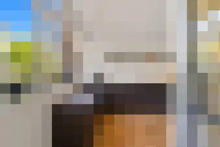 Hanedoesstraat 2 F Den Haag thumbnail 27