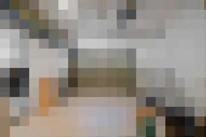 Hanedoesstraat 2 F Den Haag thumbnail 31