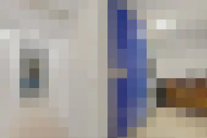 Hanedoesstraat 2 F Den Haag thumbnail 32