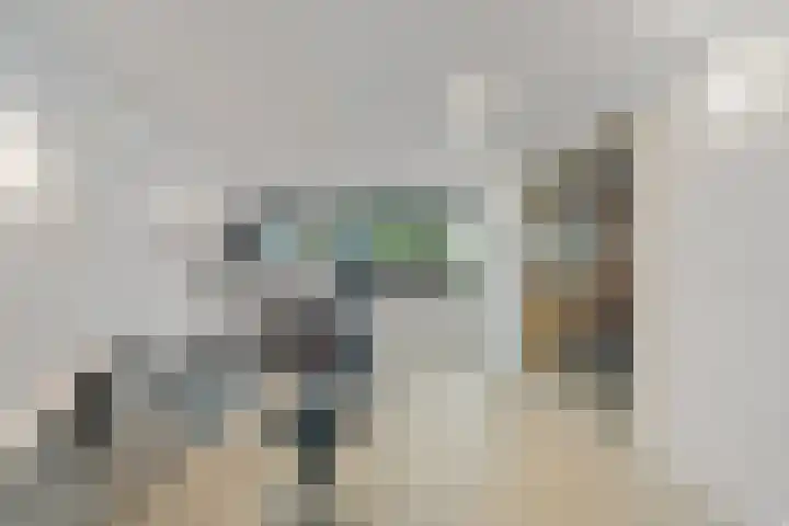 Hanedoesstraat 2 F Den Haag thumbnail 34