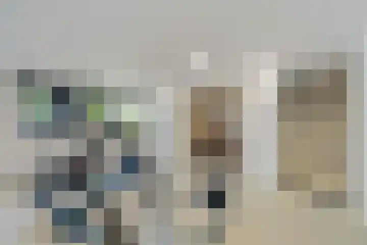 Hanedoesstraat 2 F Den Haag thumbnail 36