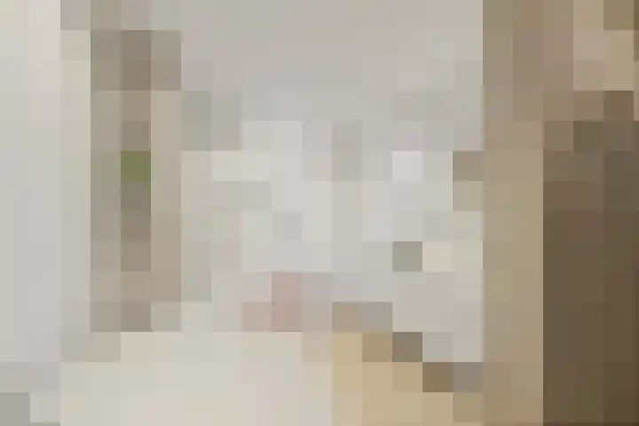 Hanedoesstraat 2 F Den Haag thumbnail 49
