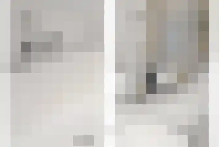Hanedoesstraat 2 F Den Haag thumbnail 50