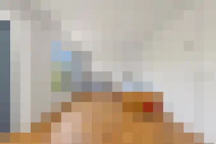 Hanedoesstraat 2 F Den Haag thumbnail 65