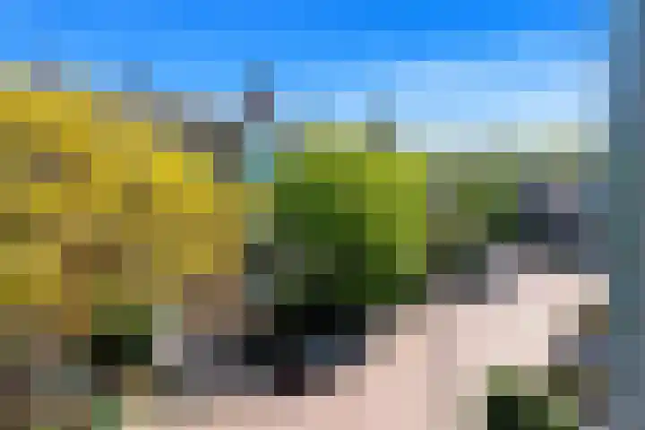 Hanedoesstraat 2 F Den Haag thumbnail 69