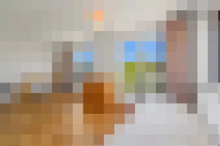 Hanedoesstraat 2 F Den Haag thumbnail 76