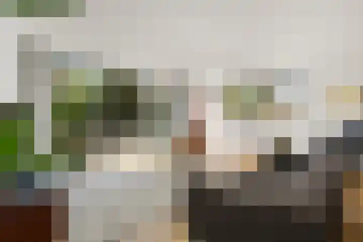 Hanedoesstraat 2 F Den Haag thumbnail 9