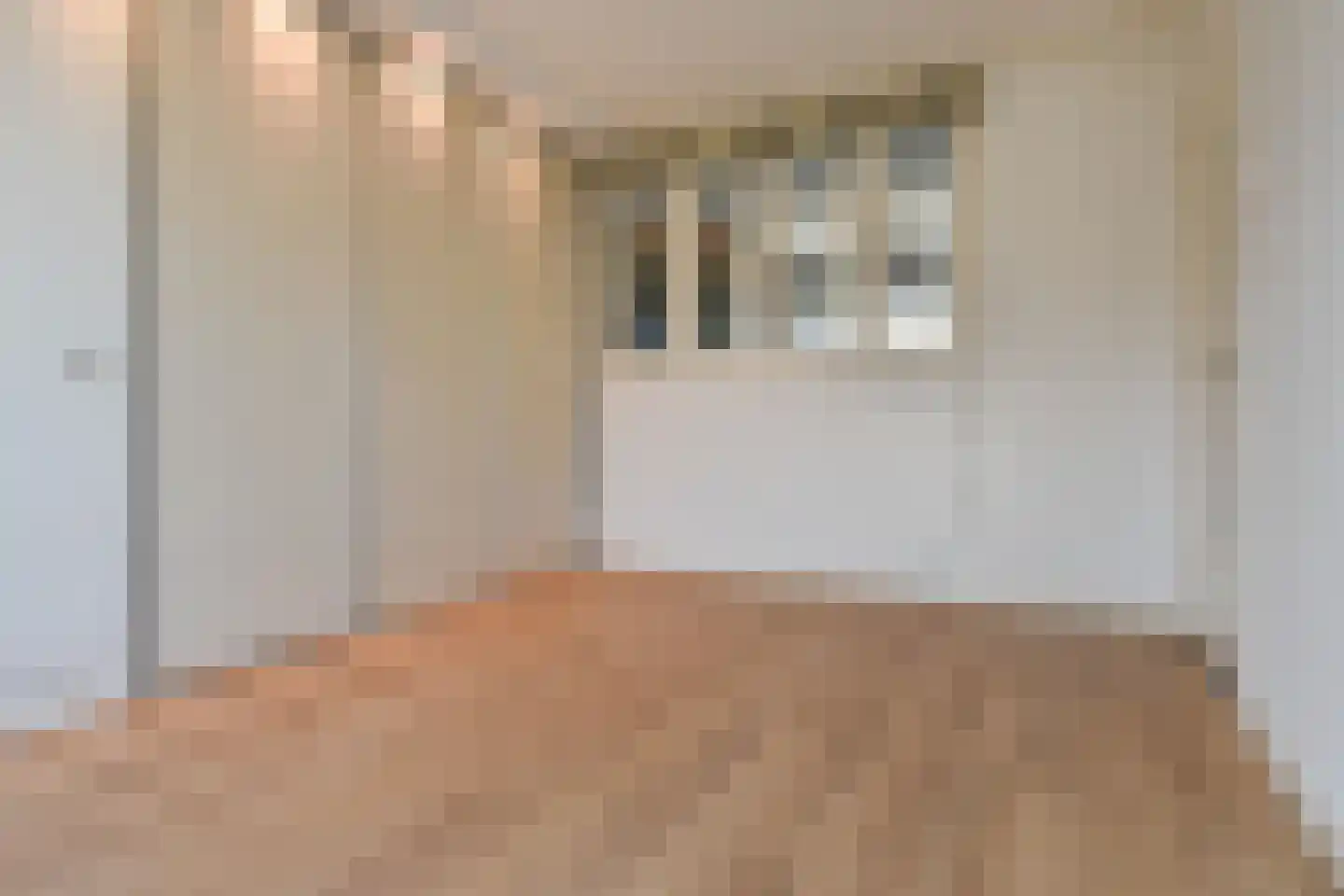 Hanedoesstraat 73 Den Haag thumbnail 17