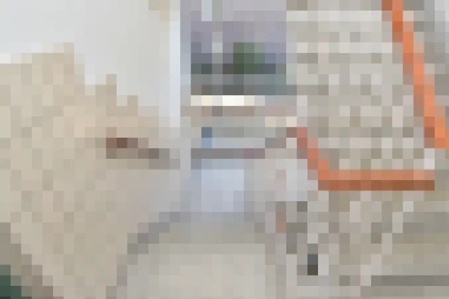 Hanedoesstraat 73 Den Haag thumbnail 7