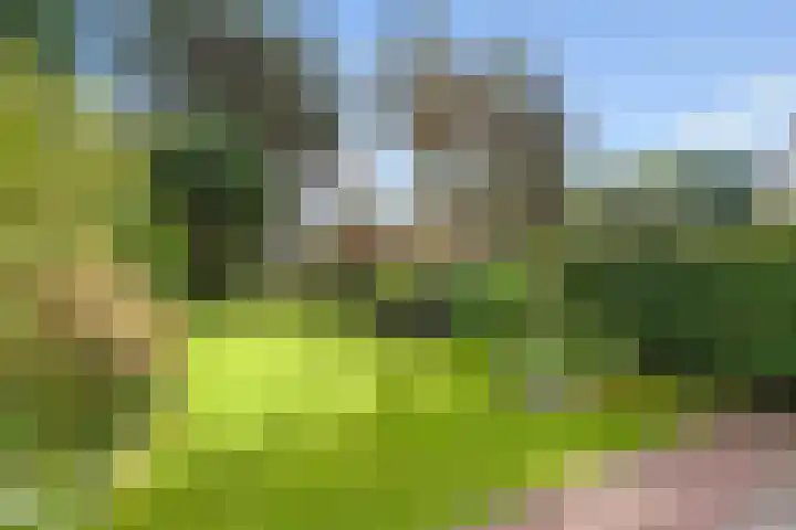 Hanedoesstraat 9 Den Haag