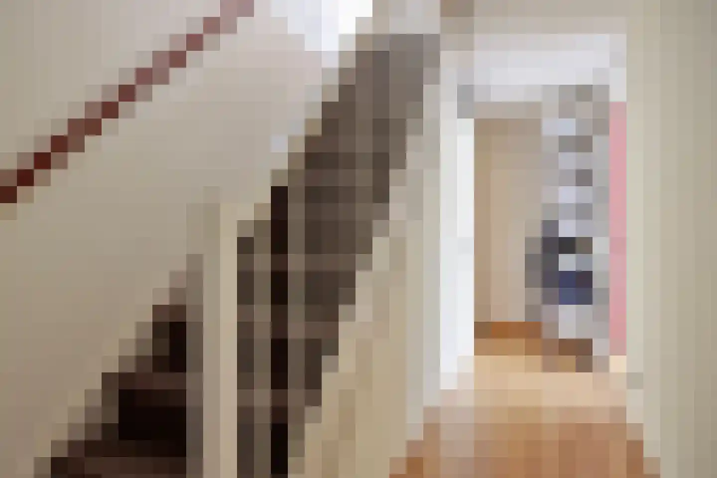 Hanedoorn 4 Maastricht thumbnail 13