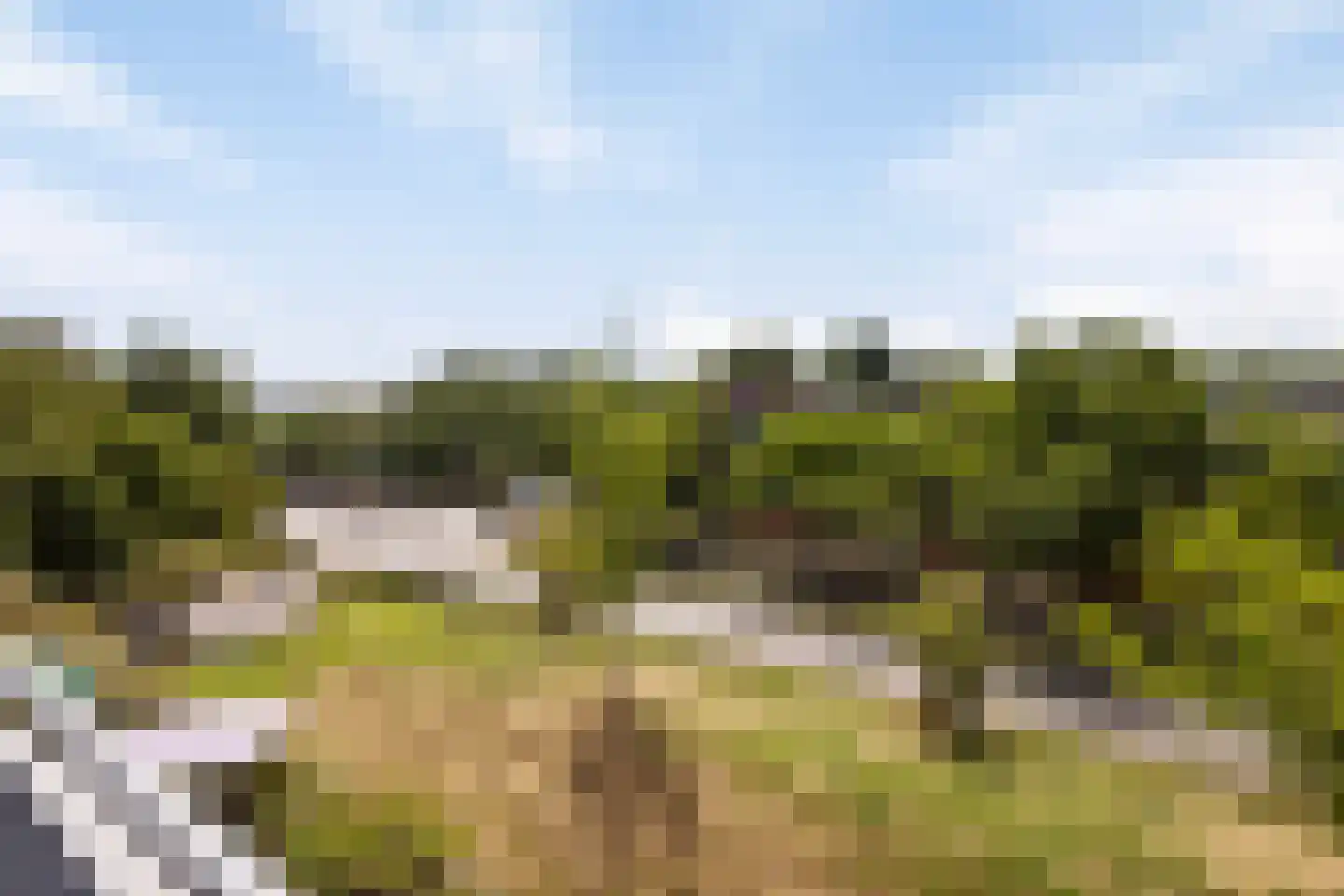 Hanedoorn 4 Maastricht thumbnail 14