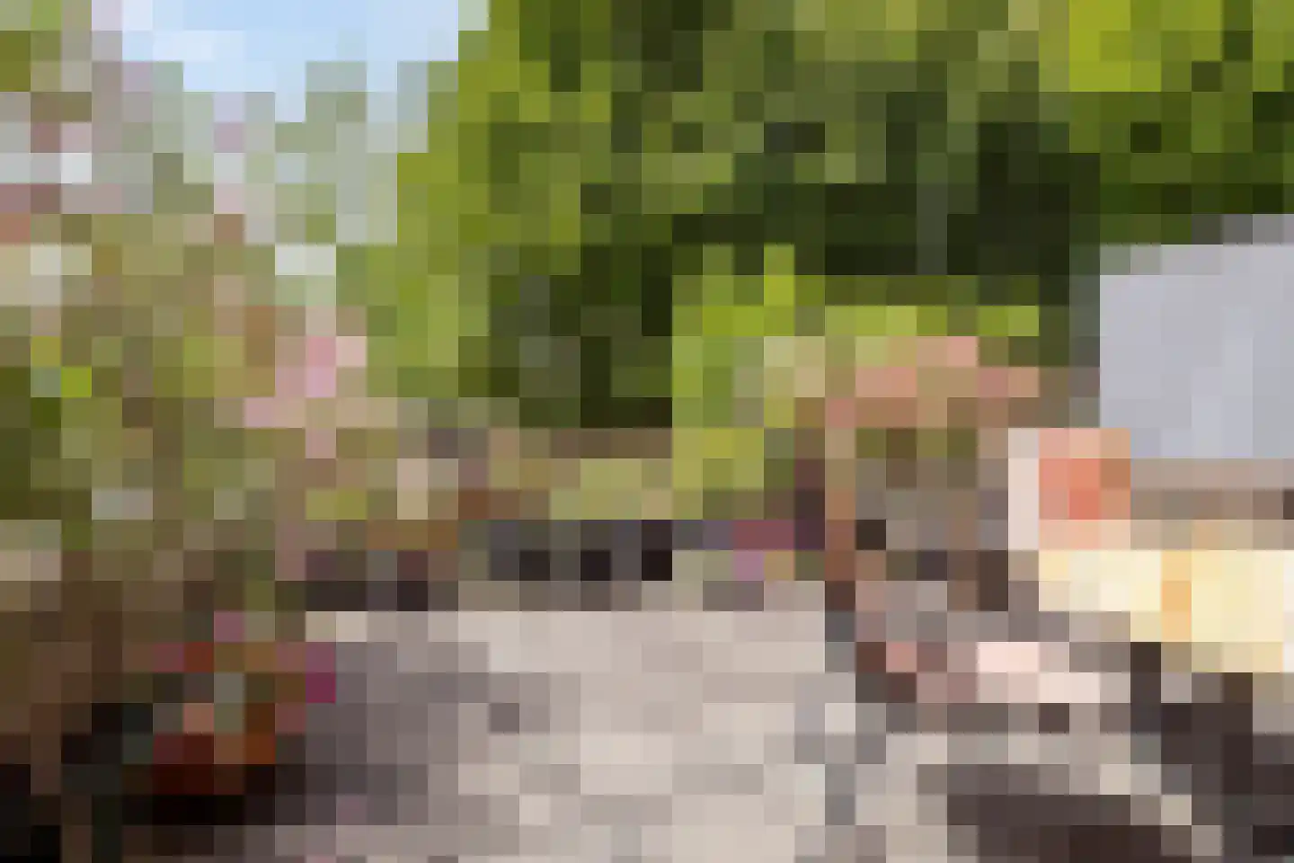 Hanedoorn 4 Maastricht thumbnail 4