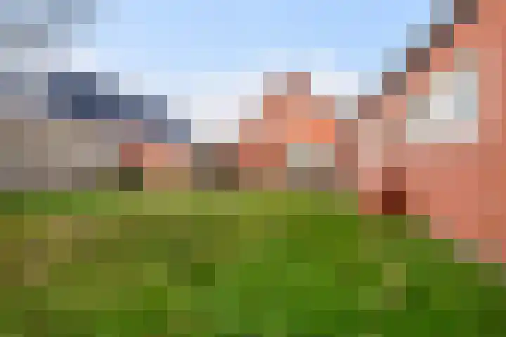 Hanegraaffweg 5 Noardburgum thumbnail 19