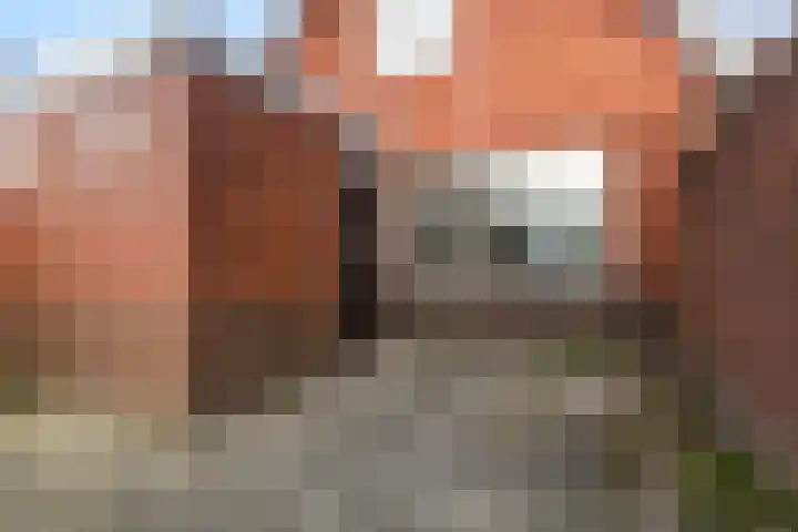 Hanegraaffweg 5 Noardburgum thumbnail 21