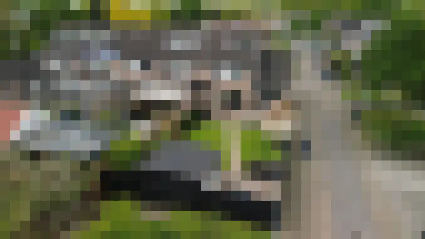 Hanekamp 150 Harderwijk thumbnail 35
