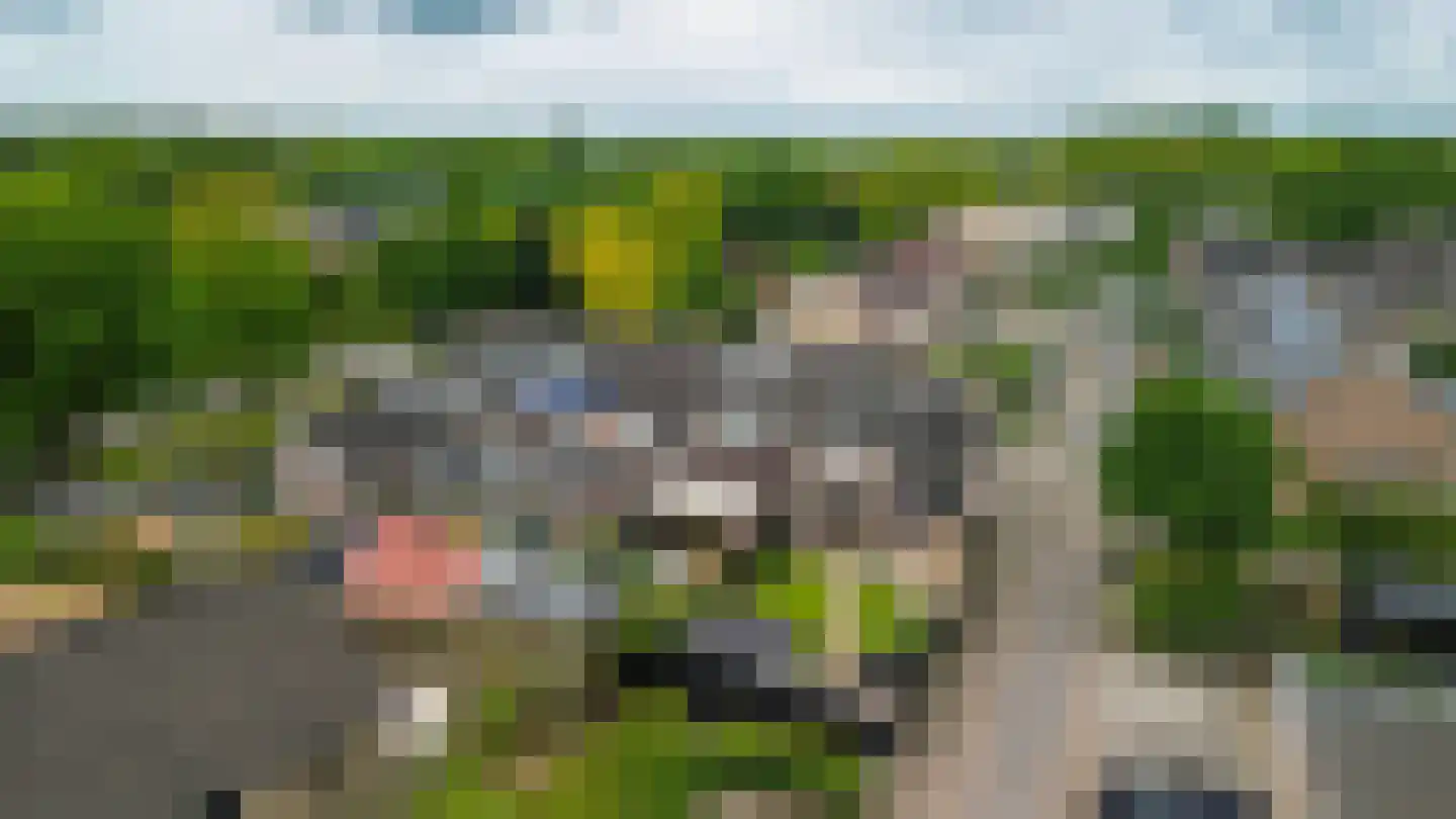Hanekamp 150 Harderwijk thumbnail 36