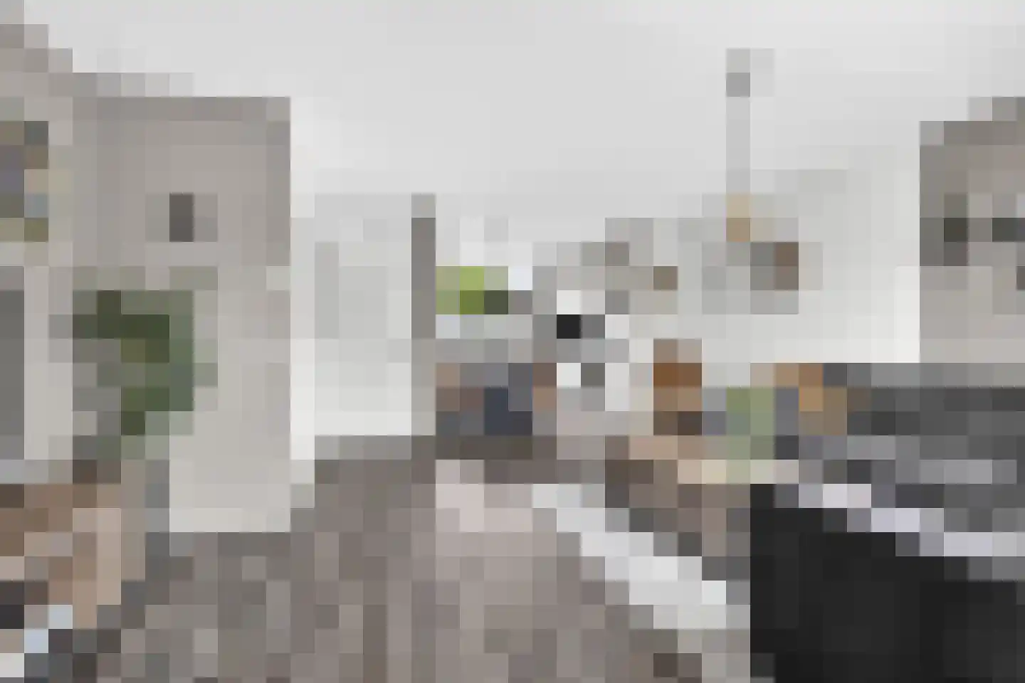 Hanekamp 150 Harderwijk thumbnail 9