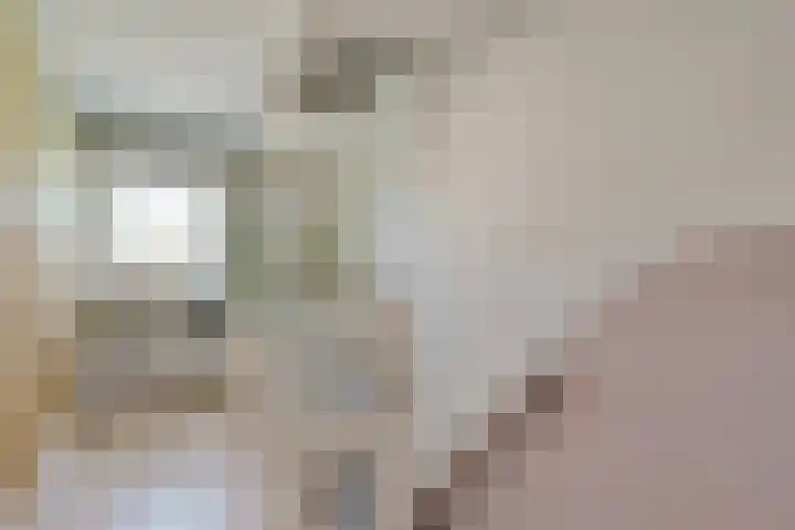 Hanekamp 41 Zwolle thumbnail 17