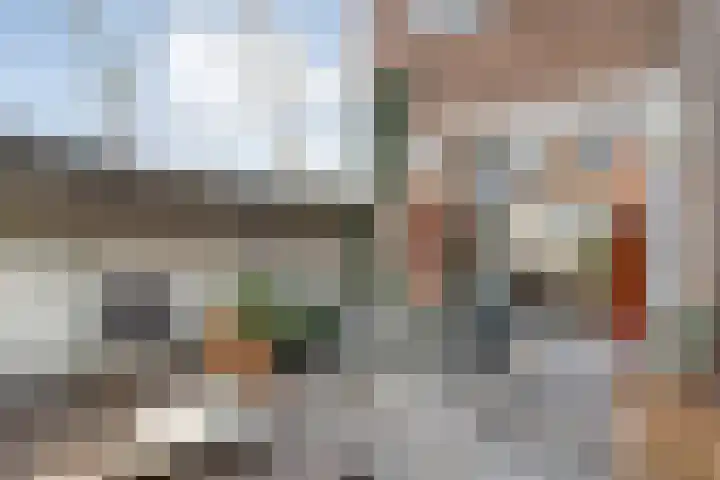 Hanekamp 41 Zwolle thumbnail 30