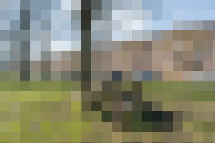 Hanekamp 41 Zwolle thumbnail 36