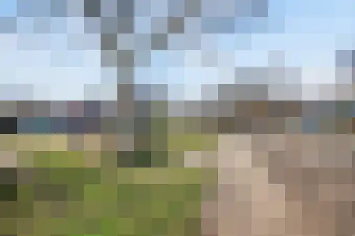 Hanekamp 41 Zwolle thumbnail 37