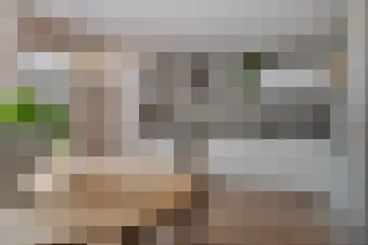 Hanekamp 47 Zwolle thumbnail 11