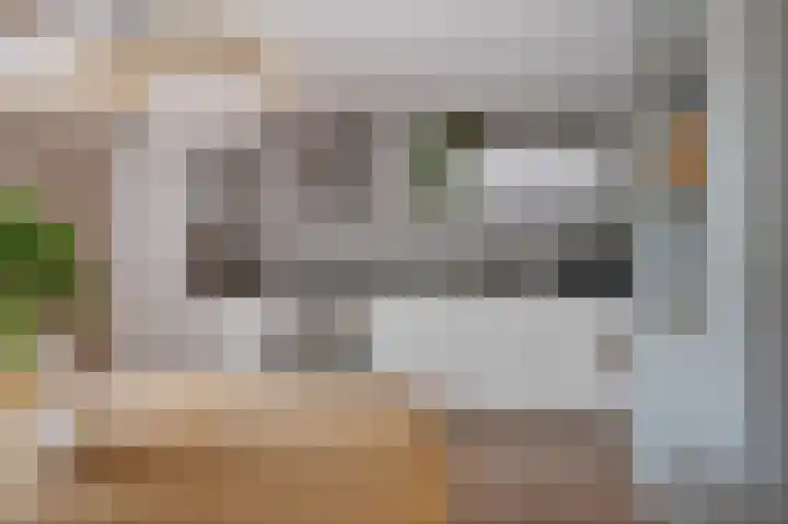 Hanekamp 47 Zwolle thumbnail 12