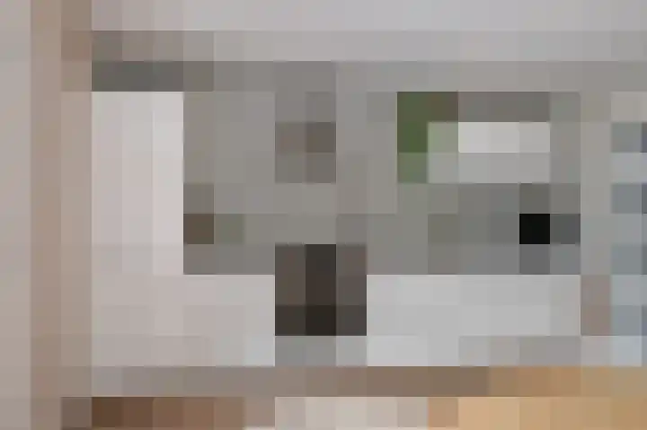 Hanekamp 47 Zwolle thumbnail 13