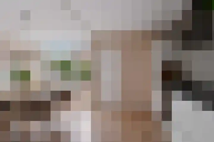 Hanekamp 47 Zwolle thumbnail 14
