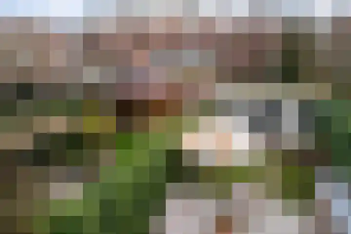 Hanekamp 47 Zwolle thumbnail 32