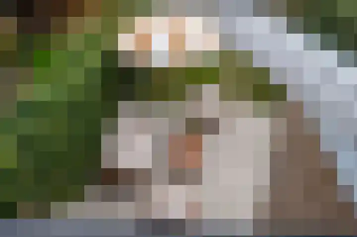 Hanekamp 47 Zwolle thumbnail 33
