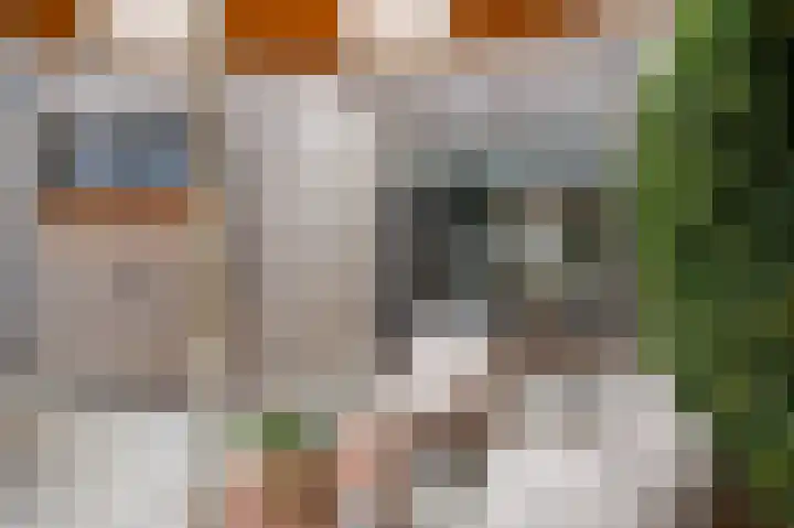 Hanekamp 47 Zwolle thumbnail 35