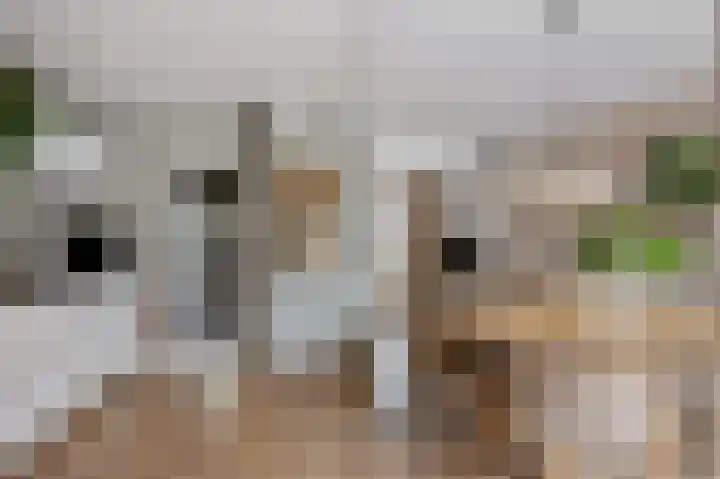 Hanekamp 47 Zwolle thumbnail 4