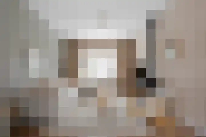 Hanekamp 47 Zwolle thumbnail 5