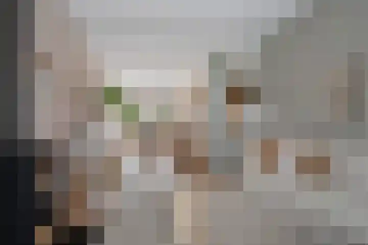 Hanekamp 47 Zwolle thumbnail 6