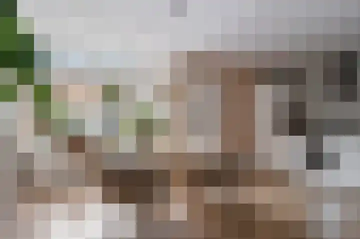 Hanekamp 47 Zwolle thumbnail 7