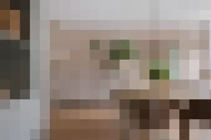 Hanekamp 47 Zwolle thumbnail 8