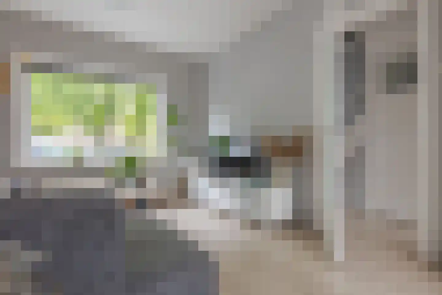 Hanekamp 65 Zwolle thumbnail 13