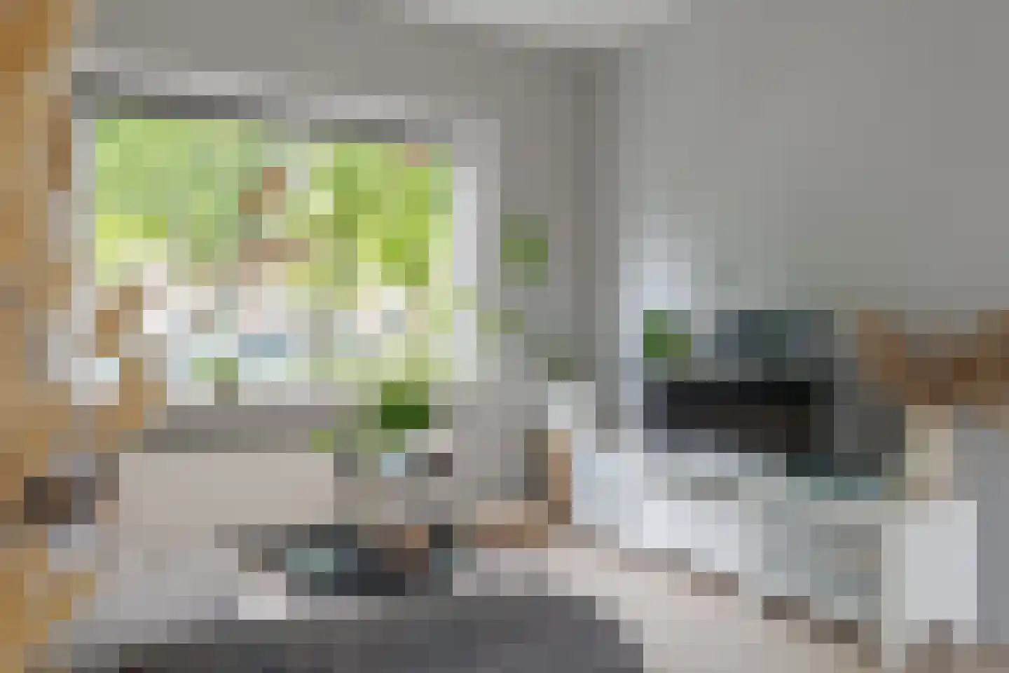 Hanekamp 65 Zwolle thumbnail 15
