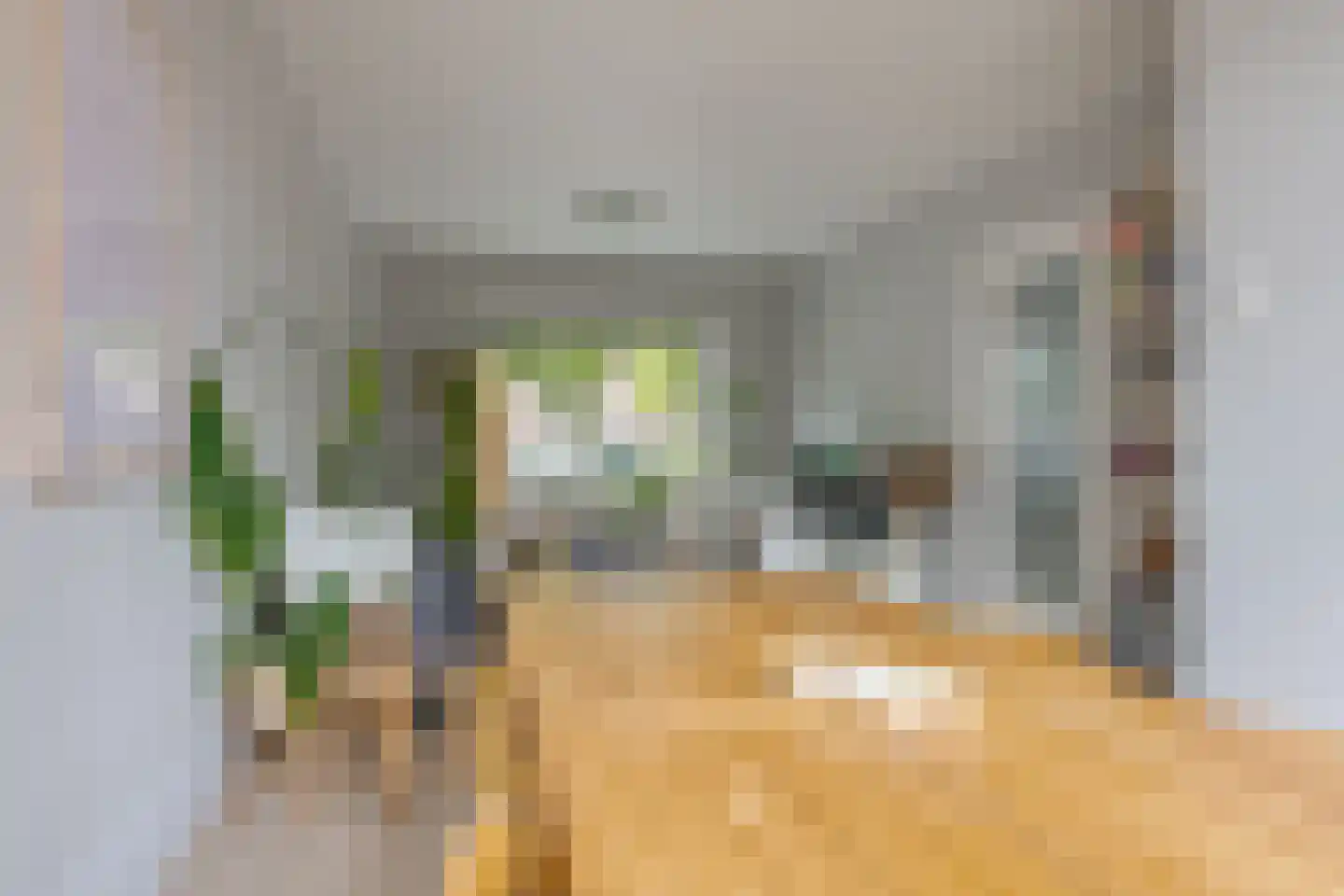 Hanekamp 65 Zwolle thumbnail 18