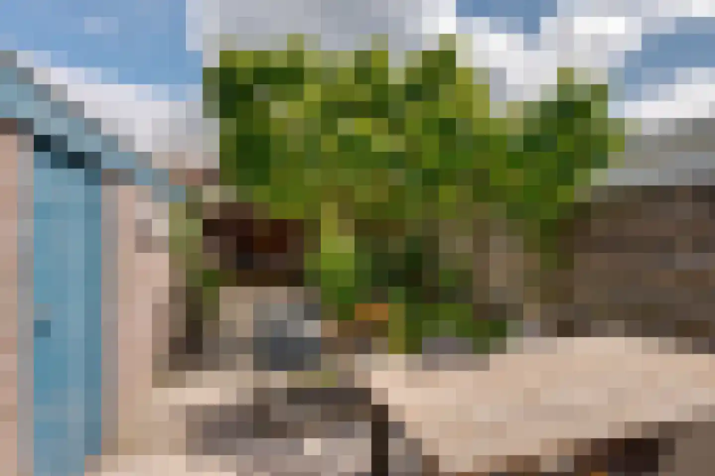 Hanekamp 65 Zwolle thumbnail 22