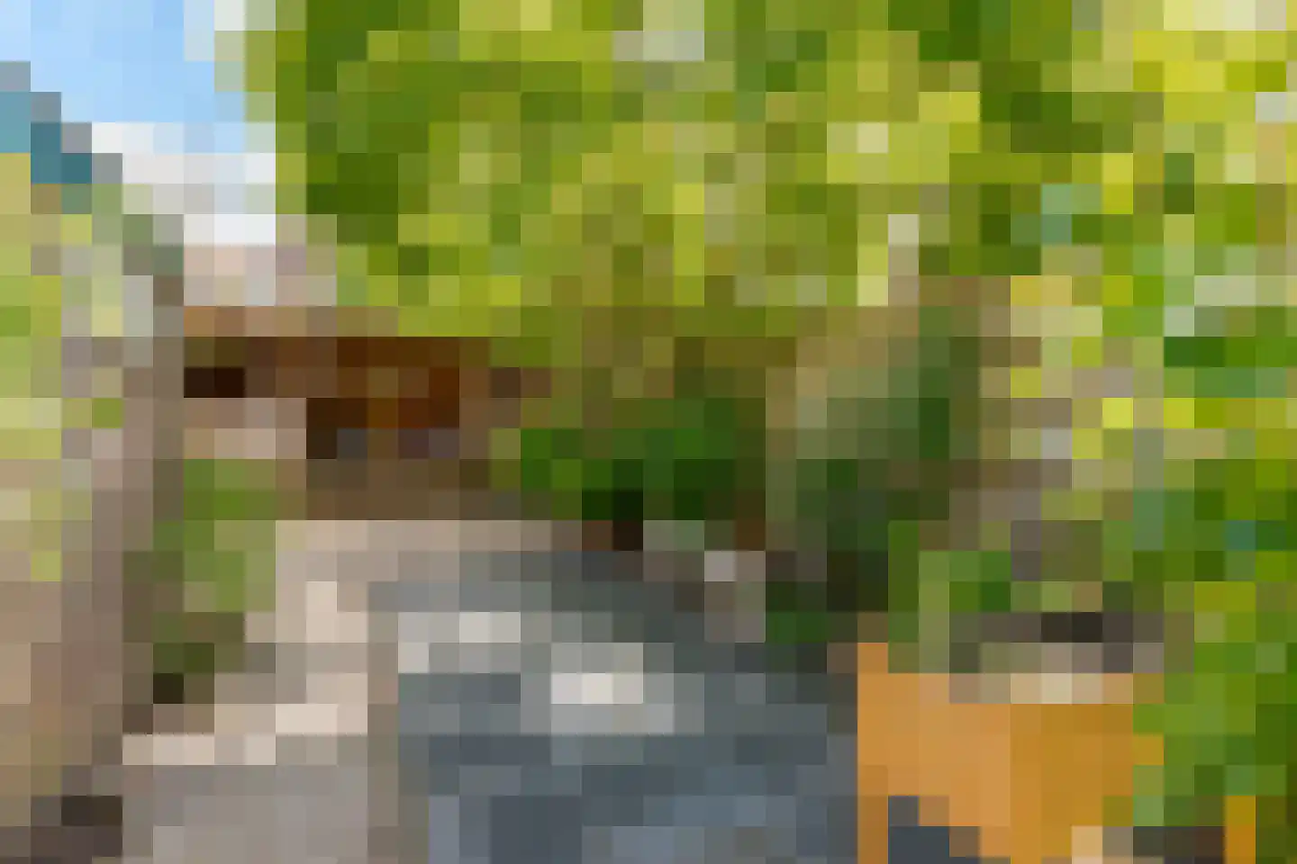Hanekamp 65 Zwolle thumbnail 24