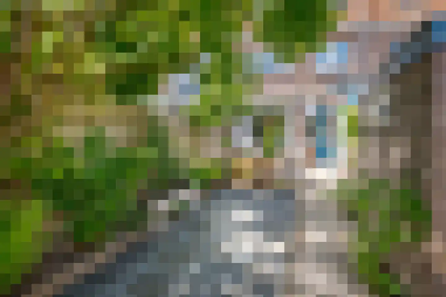 Hanekamp 65 Zwolle thumbnail 26